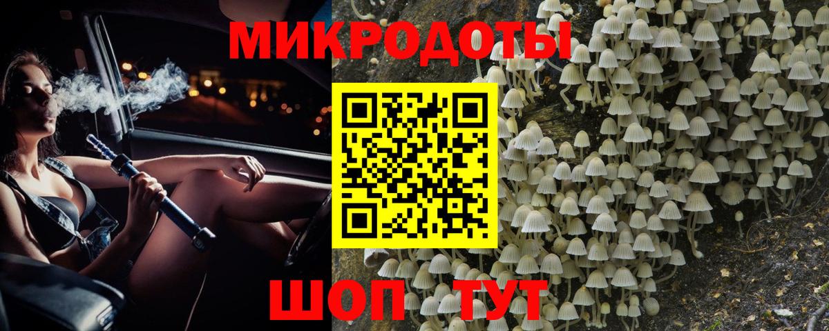 Псилоцибиновые грибы Psilocybe Майский