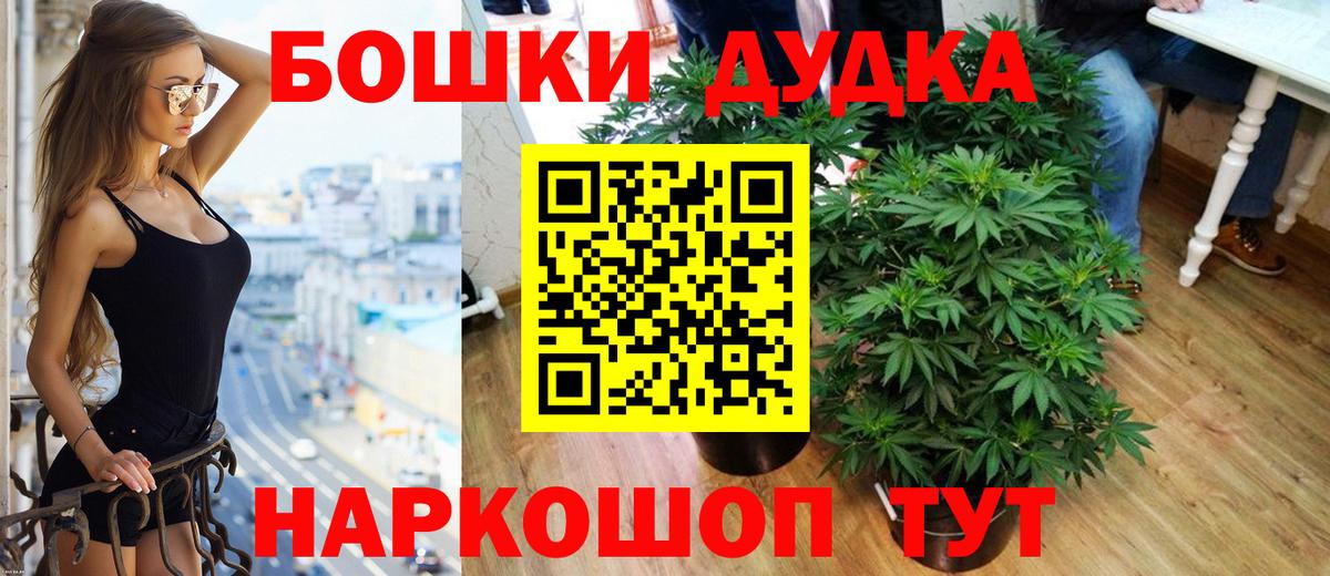 Конопля планчик Майский